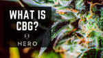 Hero Brands cover photo for what is cbg