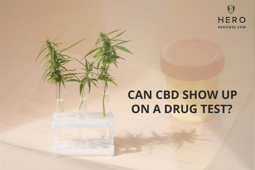 Can CBD show up on a drug test