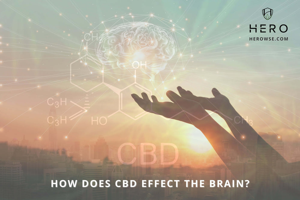 CBD effects on brain health