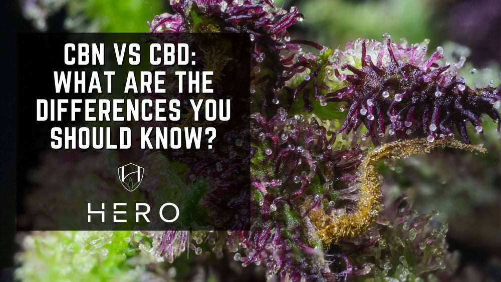 Cover photo for What is the difference in CBN and CBD?