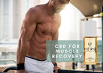 CBD Muscle Recovery