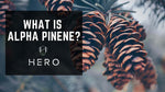 what is alpha pinene hero brands blog cover photo