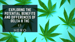 Benefits and Differences of Delta 8 THC