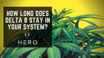 How Long Does Delta 8 Stay In Your System