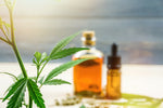 Should You Choose CBD Capsules or CBD Oil?