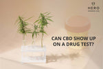 Can CBD show up on a drug test