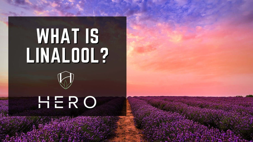 what is linalool blog cover photo
